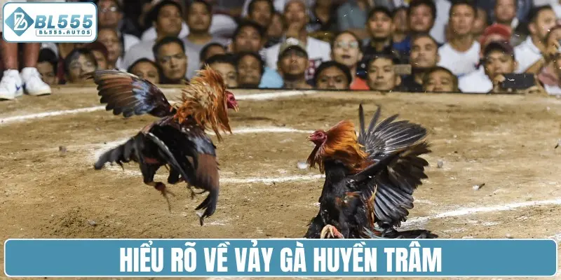 Hiểu rõ về vảy gà huyền trâm