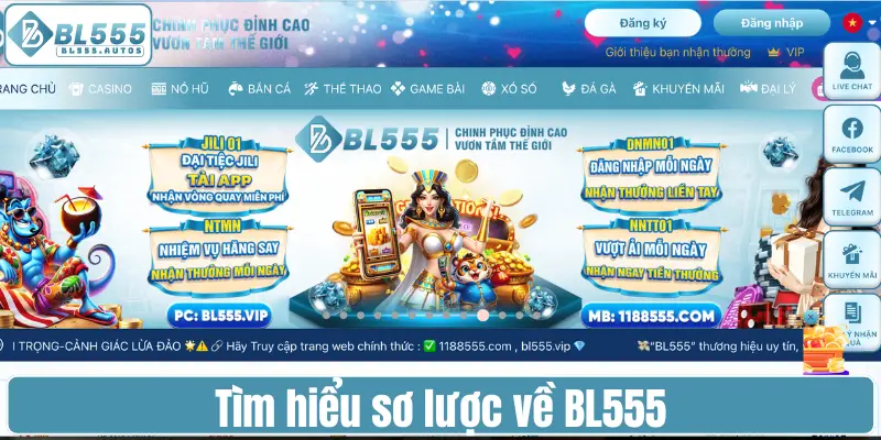 Tìm hiểu sơ lược về BL555