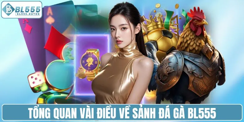 Tổng quan vài điều về sảnh đá gà BL555